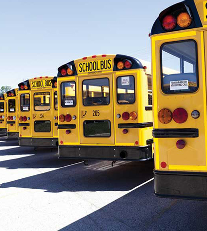 Row of school buses
